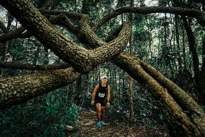 BIB: 
                            <button type="button" onclick="openModal(25664443)" class="btn btn-primary btn-sm float-right btn-popup" data-toggle="modal" data-target=".modal-high-quality">
                        <i class="fas fa-shopping-cart"></i> Add to Cart
                    </button>
                                            <button type="button" onclick="isThisMe(25664443, true)" class="btn btn-success btn-sm float-right btn-popup btn-isme hidden" data-toggle="tooltip" data-placement="bottom" title="นี่คือรูปของคุณใช่ไหม คลิกที่นี่เพื่อเอาเข้าอัลบั้ม">
                        <i class="fas fa-plus"></i> Add to album
                    </button>
                    <button type="button" onclick="isThisMe(25664443, false)" class="btn btn-warning btn-sm float-right btn-popup btn-isnotme hidden">
                        <i class="fas fa-ban"></i> Remove from album
                    </button>